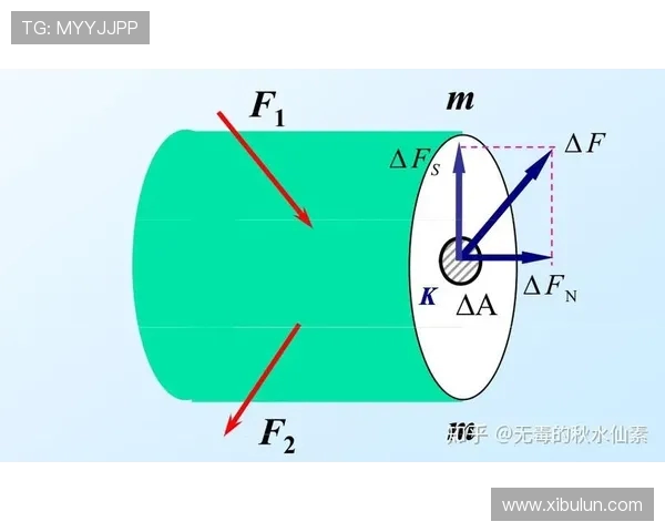 世界技巧锦标赛双人项目稳定性的力学因素